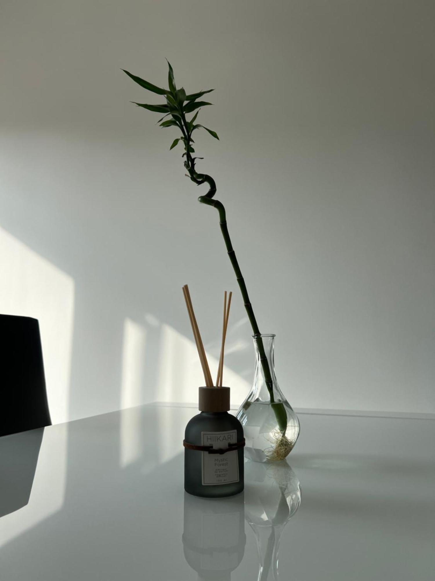 Baru'S Home サンレモ エクステリア 写真